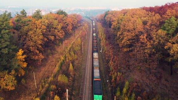 货运列车在美丽的森林在雾在日出在秋天鸟瞰图秋天的货车和货物工业俯视铁路雾蒙蒙的树橘黄色的叶子火车站