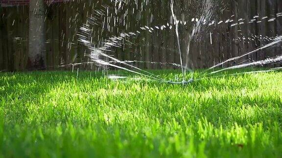 草坪上的慢动作洒水器