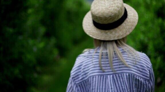 后视图的年轻女子在帽子走在绿树和灌木丛在夏天的乡村旅游期间