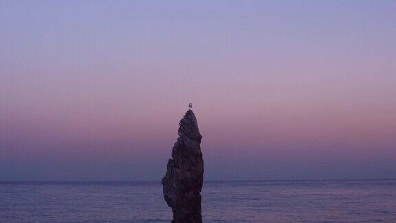 海鸥一只脚站在Chooam烛台岩石在晚上