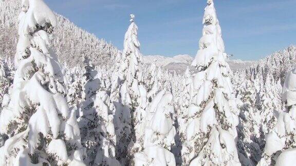 AERIAL:斯洛文尼亚山区风景如画的雪景