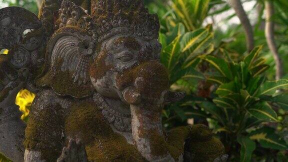甘尼萨神的石像覆盖着苔藓的慢镜头定格镜头在一个热带花园