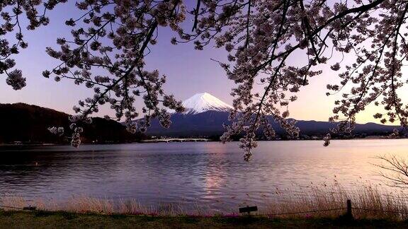 日本美丽的风景富士山樱花盛开