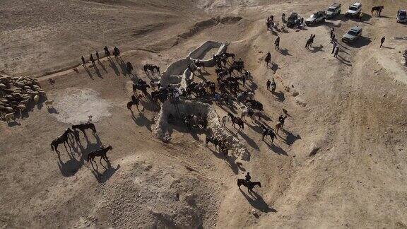 在沙漠中骑马的阿拉伯人马和骑马的人在沙漠中间的一口井停下来喝水