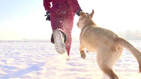 慢动作女孩和她的小狗在雪中奔跑