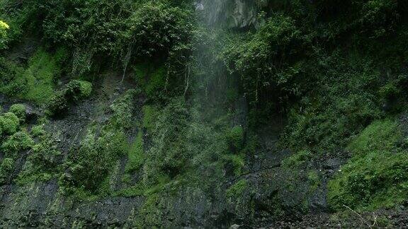 丛林中的瀑布在巴拿马运河的管道小径上摄影机倾斜着