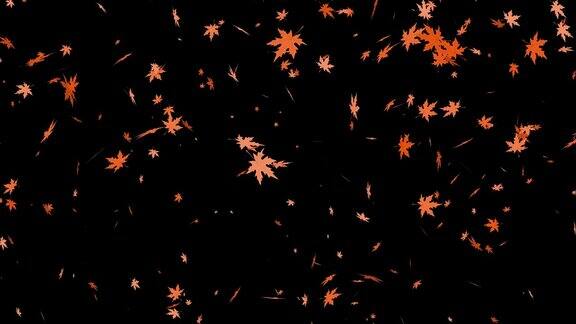 落叶动画秋天的枫叶落在黑色色彩的背景上