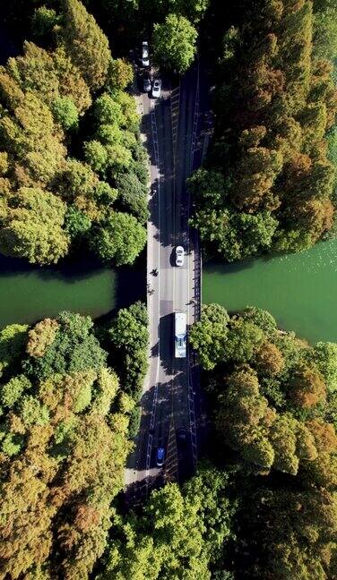 通过湖泊和树木区域的道路鸟瞰图