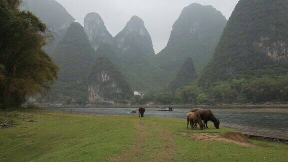 阳朔的风景