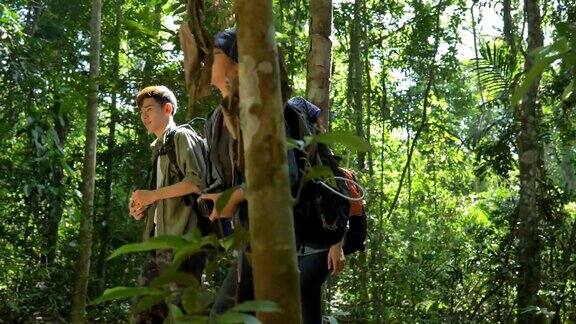 一群背包客在树林中探险