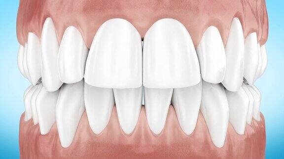 美丽的白色干净的牙齿缩放近距离3d动画阿尔法通道
