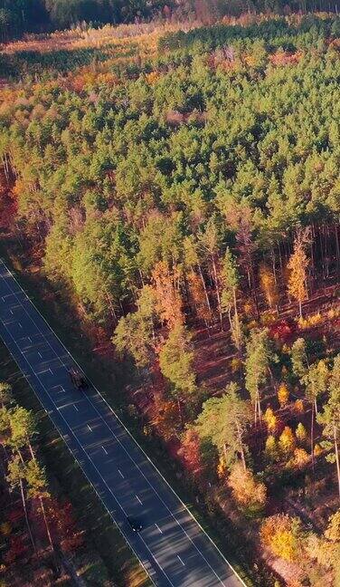 现代高速公路上的汽车穿过森林景观垂直视频