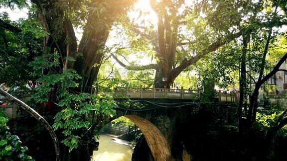 一座古老的桥和巨大的榕树贵州中国