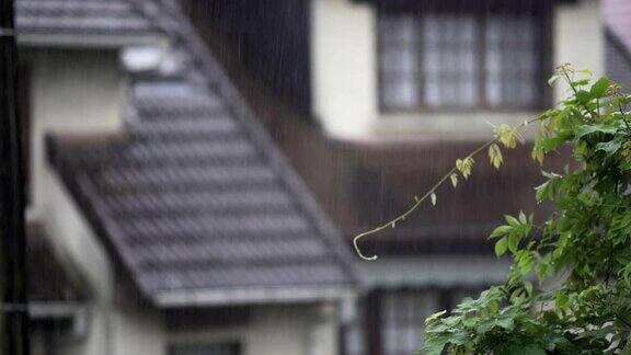 夏雨落在乡村的房子上雨点沿着屋顶流下