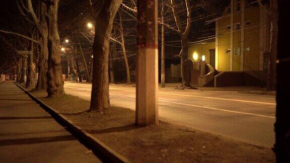 秋天夜晚辛菲罗波尔空荡荡的街道上挂满了路灯