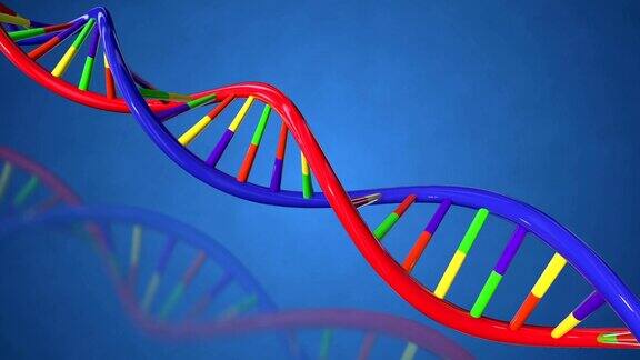 彩色DNA结构可循环全高清