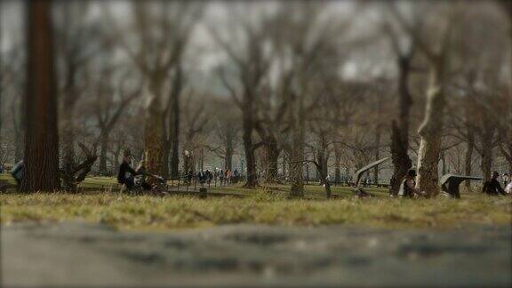 纽约下午晚些时候人们在中央公园乘车