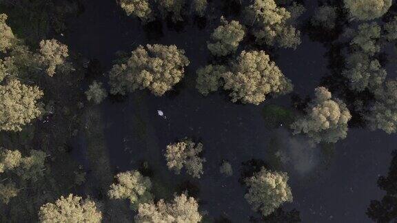 男子在森林湖上漂浮在救生气球上鸟瞰图