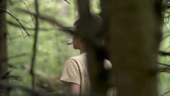 受惊的男孩在傍晚穿过一片可怕的干燥的森林四处张望