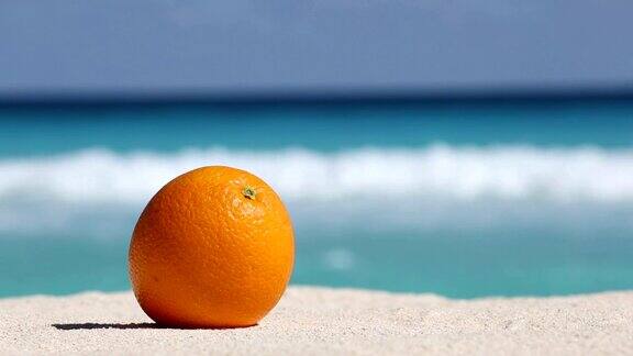 在加勒比海碧绿的海水的映衬下沙地上的橙色水果