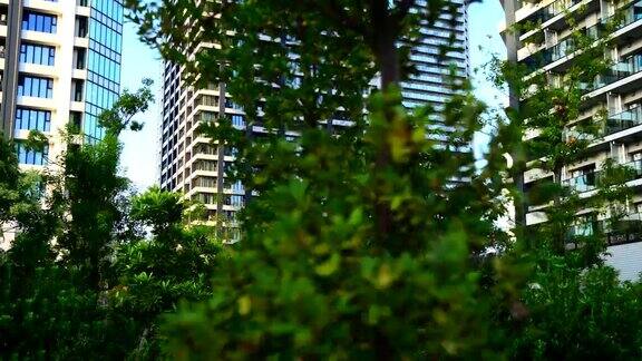绿色树木的现代建筑