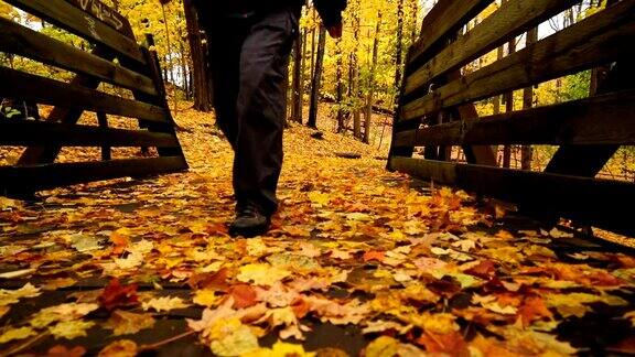 奔跑在秋天的森林里
