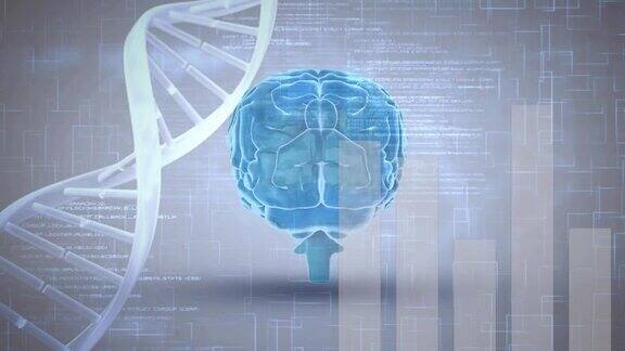 数字大脑和DNA螺旋与程序代码