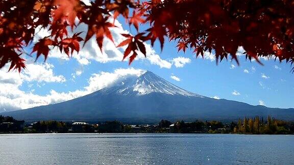 富士山和红枫的秋天日本