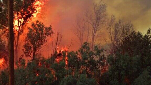 加州野火燃烧