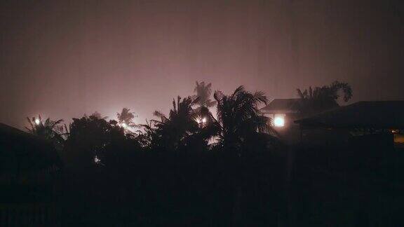 阵风在暴雨的夜晚吹着棕榈树的剪影