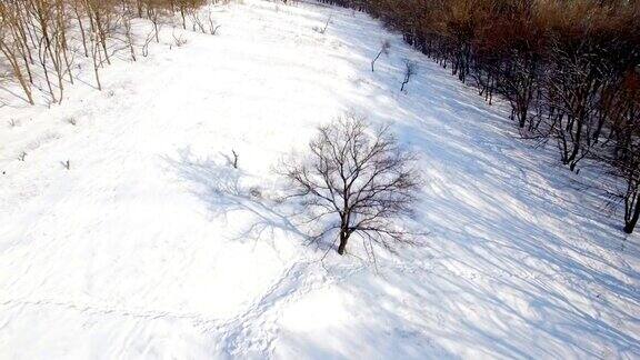 冬季公园鸟瞰图寒冷的阳光明媚的天气雪