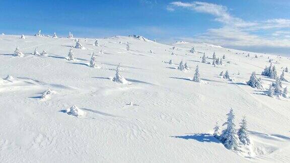 飞过冬天的雪山松林白雪覆盖的高山鸟瞰图