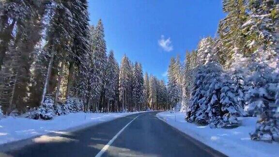 驾车的观点在雪乡公路通过冬季白色森林