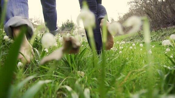 高清超级慢动作:在草地上赤脚行走的夫妇