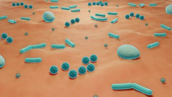 皮肤微生物群皮肤上的微生物