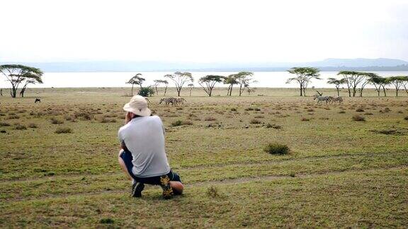 摄影师用相机拍摄非洲保护区的野生斑马