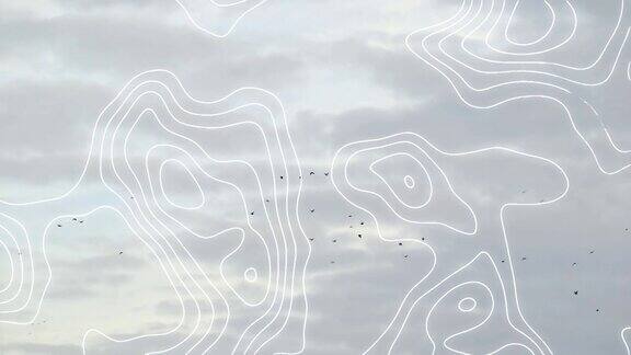 动画网络的白线在鸟和天空