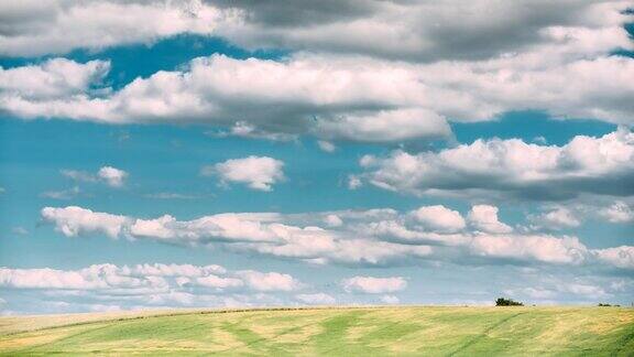 夏季乡村乡村田野草地景观下风景戏剧性的天空与蓬松的云