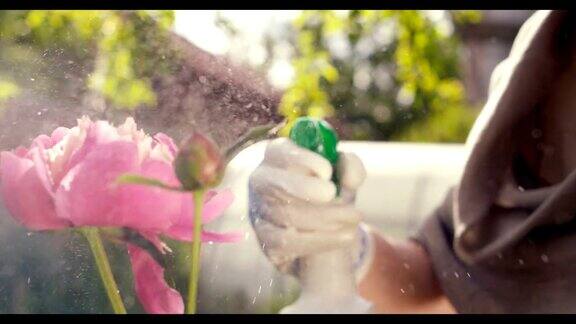 一个园丁正在用喷雾器喷花