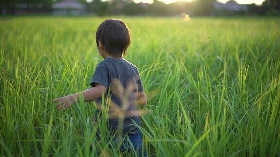 小男孩在高高的草地上奔跑背光照亮