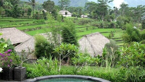 山的梯田和农民的房子印度尼西亚巴厘岛超高清4K