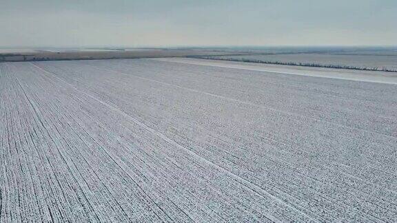 空中的电影剪辑在冬季大雪下的麦田上空飞行