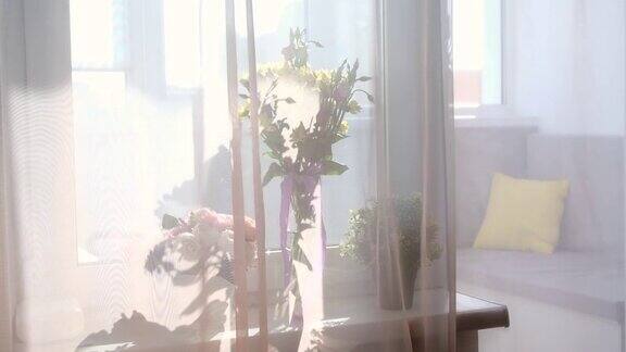 微风吹动的窗纱和植物特写