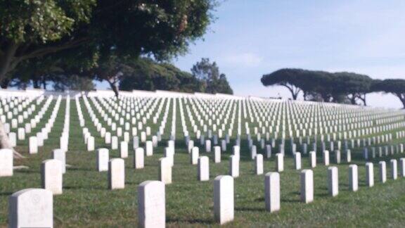 散焦的墓碑美军纪念公墓美国的墓地