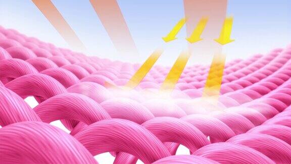 在3D动画中保护织物免受紫外线的影响