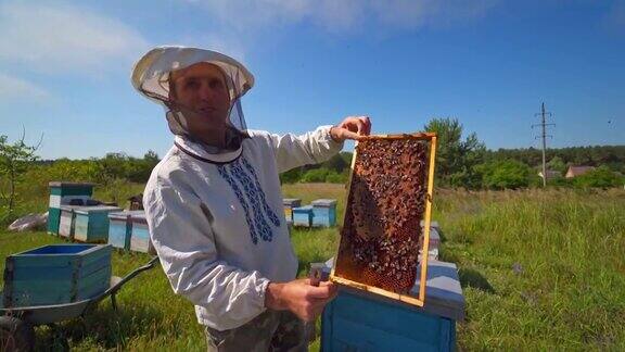 戴着防护帽的养蜂人养蜂人观察蜜蜂并谈论他们的工作在农村养蜂场养蜂
