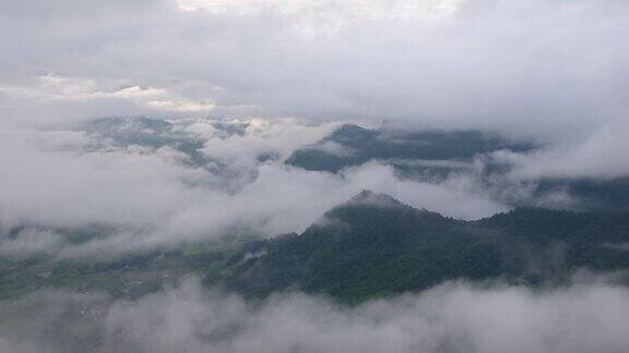 慢动作景观景观的绿色雨林山在雾天