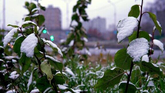 反常的天气是城市公路上的湿雪