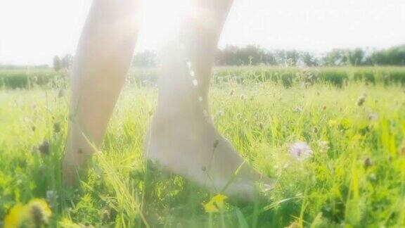 年轻女人的脚在草地上