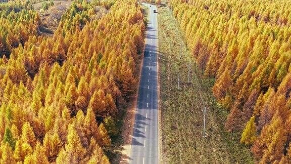 空中拍摄的秋天森林中的道路风景